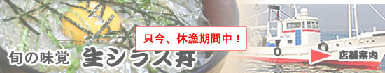 生シラス丼